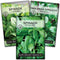 Sow Right Seeds - Spinach Seed Collection for Planting - Viroflay, Malabar