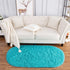 Noahas Ultra Soft Fluffy Bedroom Rugs - Kids Room Carpet Modern Shaggy Area Rugs 2.6' X 5.3', Teal Blue