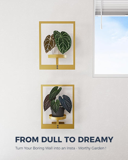 Bamworld Gold Plant Stand Indoor, Plant Hanger Wall Planters for Indoor Plants Window Plant Shelves Plant Holder Wall