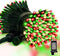 LAMPHOME 66ft Christmas Decorative Mini Lights, 200 LED Green Wire Fairy Starry