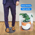 LFUTARI 6 12inch (30cm-6pcs, PCS Plant Level Pot Elevator, Plant Stands, Plant Pot Saucer for Prevent Rot and Damage on