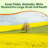 5 lb Outsidepride White Mustard Seeds for Planting - Annual Cover Crop Seeds w/Deep Root System, High Protein Forage
