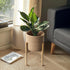 WILLITAT Plant Basket with Stand, Indoor Round Wicker Basket Plant with Bamboo Wood Stand, Decorative Woven Rope Flower