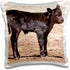 3dRose Black Angus Cow Standing in Pasture Pillow Case, 16" x 16"