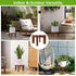 Wood Plant Stand for Indoor/Outdoor, Large Size Sturdy Flower Pot Holder, Fits Most Flower Pots (1 Pack)
