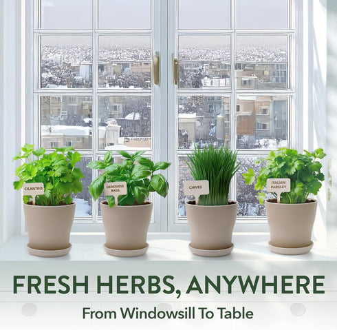4 HOME GROWN Herb Garden Planter Indoor Kit Unique Christmas Gift for Adults, Men, & Women - Grow Heirloom Herb Seeds