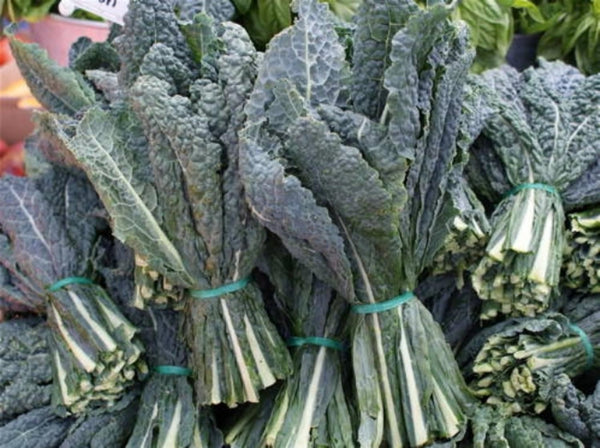 400+ Black (Elephant) Kale Seeds