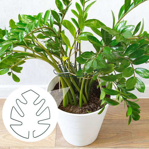 BOXOB 2pcs Monstera Leaf Plant Support, Metal Climbing Plant Stem Supports Monstera Shaped Plant Stand Ring Houseplant