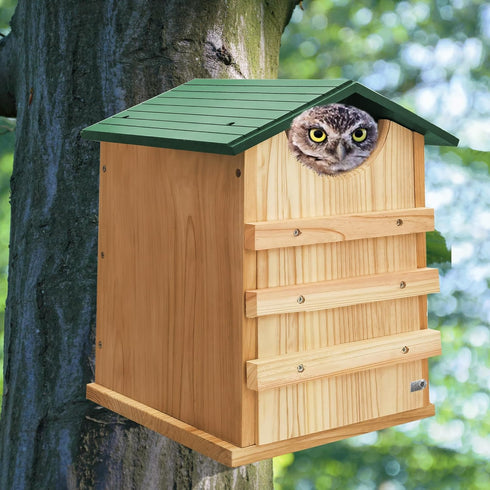 Box,13.5x9.5 Inch PROLEE Owl House,Owl Nesting Box for Outside with Mounting Screws and Wood Shavings,Cedar Wood Owls