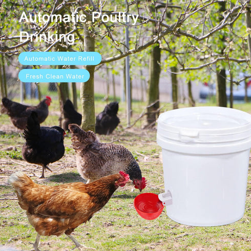 Darcvds 8 Packs Professional Chicken Waterer Cups, Large Chicken Water Feeder, Tee Fittings Poultry Waterer Suitable