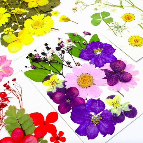 92 Pcs Purple Dried Pressed Flowers Real Natural Leaves Petals for DIY Resin Candle Jewelry Nail Crafts