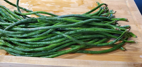 85+ Yard Long Bean Seeds Seeds, Asian Heirloom Yard Long Beans Seeds, Asparagus Beans Seeds, Phaseolus Vulgaris, Non