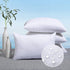 MIULEE Pack of 4 14x22 Outdoor Pillow Inserts, Decorative Water-Resistant Premium Rectangle Pillow Stuffer for Sofa
