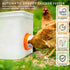12 Pack 12 1 Chicken Feeder Port, Chicken Feeders No Waste with Lids Drill Bit, DIY Automatic Poultry Feeder Cups Kit