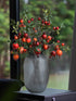 Forlaoers 4pcs 31" Tall Red Berries Pomegranate Faux Plants Stem Fake Tree Branches with Fruits Leaves Artificial