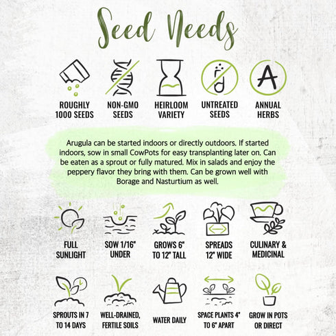 (5 Packs) Seed Needs Arugula Seeds for Planting Roquette/Rocket - Non-GMO Heirloom & Untreated - Grow an Outdoor