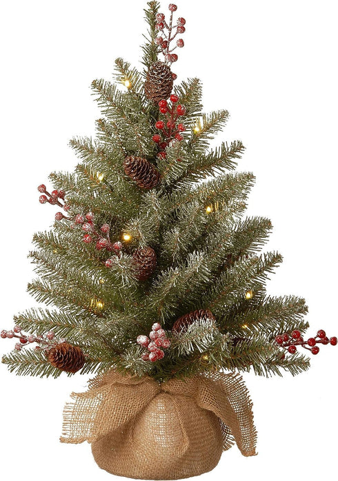 National Tree Company Pre-Lit Artificial Mini Christmas Tree, Green Dunhill Fir, White Lights, 2 Feet