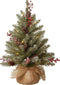 National Tree Company Pre-Lit Artificial Mini Christmas Tree, Green Dunhill Fir, White Lights, 2 Feet
