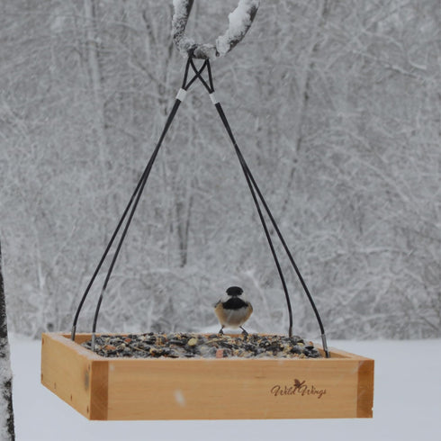 Wild Wings WWCF23 Cedar Tray Bird Feeder