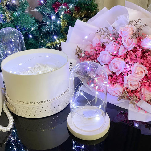 Etinga 20 Pack 10 3.3ft (20 Pack, Fairy Lights Battery Operated String Lights, LED on Silvery Copper Wirefor Flowers