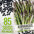 (5 Packs) Seed Needs Asparagus Seeds for Planting Mary Washington Asparagus - Non-GMO Heirloom & Untreated Perennial