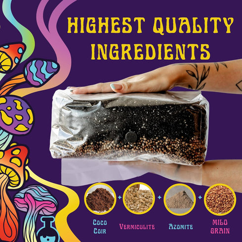 4 LB 32oz (4 LB SPORE SORCERY All-in-One Grow Bag: Up to of Mushrooms! Nutrient-Enhanced, Injection Port, Just Add Your