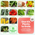11 4800 Pack, Heirloom Seeds for Planting Vegetables and Fruits, Survival Seed Vault and Doomsday Prepping Supplies