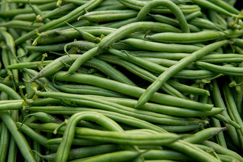 Hometown Seeds Blue Lake Pole Bean Seeds - Non-GMO - 2 ounces, approximately 175