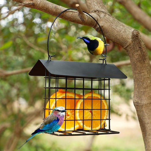 winemana Outdoor Wild Bird Feeder, Black Small Hanging Metal, Rainproof Squirrel-Proof for Outside Office