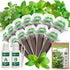 12-Pod Gourmet Herb Seed Kit Compatible with All Hydroponics, 7 Pack Varieties