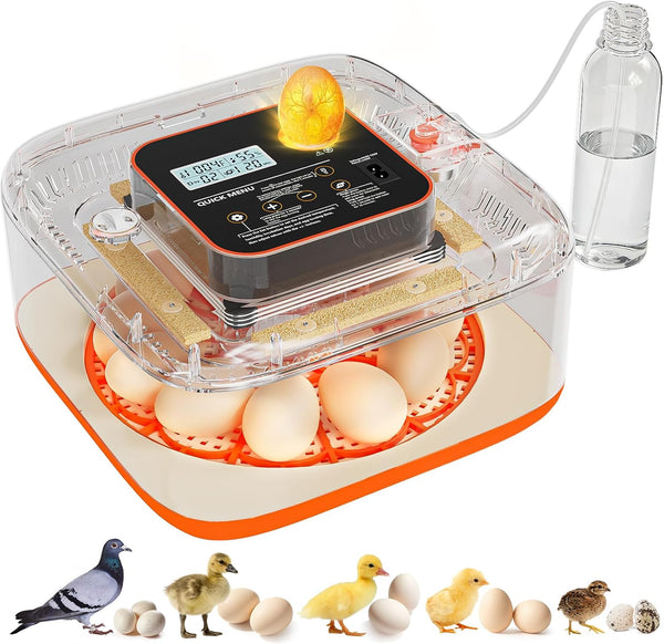 QVKHPCL Incubators for Hatching Eggs 12 Egg Digital Egg Incubator Precision Auto Temp