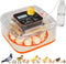 QVKHPCL Incubators for Hatching Eggs 12 Egg Digital Egg Incubator Precision Auto Temp