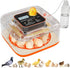 QVKHPCL Incubators for Hatching Eggs 12 Egg Digital Egg Incubator Precision Auto Temp