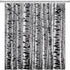 Birch Trees Shower Curtain, Rustic Landscape Bathroom Accessories Set with Hooks, 70Wx70H Inch