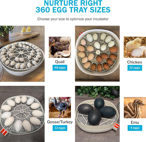 Incubator Warehouse 11 360 Egg Trays for Large (Goose/Turkey) Eggs - Durable Egg Tray for Nurture Right Egg Incubator