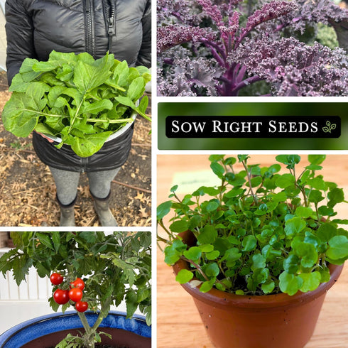 Sow Right Seeds - Hydroponic Vegetable Seeds for Planting - Lettuce, Kale, Arugula, Pak Choi, Watercress & Cherry