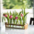 6 Beautiful Glass Flower Vase with Wooden Plant Stand & Bud Vases, Decorative Glass Bottles for Home Dcor, Dining Table