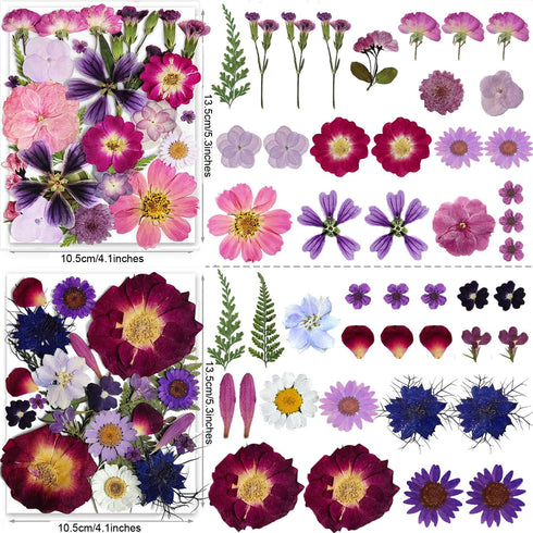 150PCS Purple Dried Pressed Flowers with Butterfly Stickers, YouthBro Real Nature Flowers Set for DIY Craft