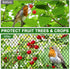 DQS 25x25ft 1 Bird Netting for Garden Protection - Poultry Netting for Chicken Coop, Mesh Heavy Duty Garden Net, Fruit