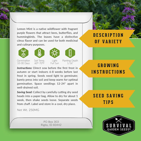 (1 Pack) Lemon Mint Seeds for Planting (Monarda Citriodora) | Lemon Bee Balm/Horse Mint Medicinal Herb & Tea Garden