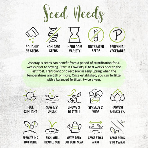(5 Packs) Seed Needs Asparagus Seeds for Planting Mary Washington Asparagus - Non-GMO Heirloom & Untreated Perennial