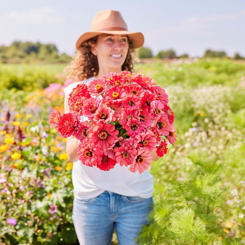 1 oz 3, 4, 5, 6, 7, 8, 9, 10 Eden Brothers Zinnia Seeds - Salmon Queen, Non-GMO Seeds for Planting, | Low-Maintenance