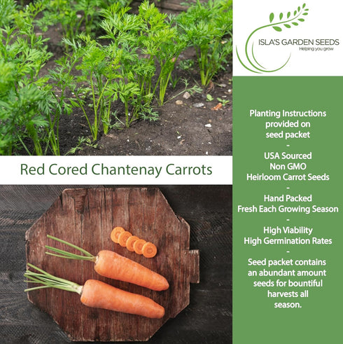 1000+ Red Cored Chantenay Carrot Seeds (Daucus carota) Heirloom Non-GMO Seeds by Islas Garden Seeds, Also Known as
