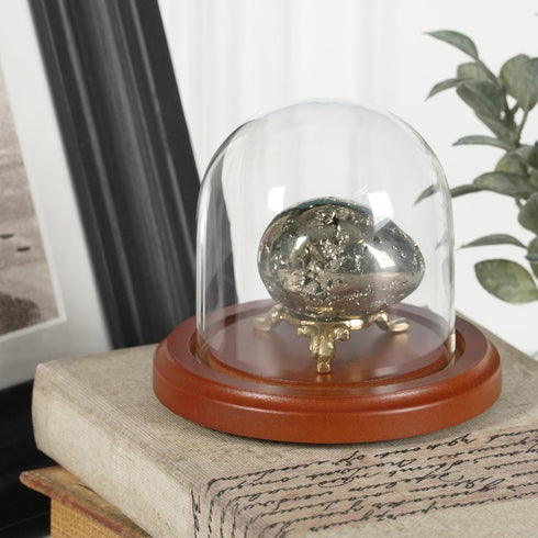 Plymor 3" x 3" Glass Display Dome Cloche with Walnut Base
