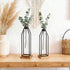 Set 2, 11&12.5 Inch Houmury Test Tube Vase of Flower Vases with Iron Stand & Wood Base, for Home Dcor, Table Decor