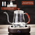 Unbreakable Gooseneck Kettle for Drip Coffee 20OZ Pour Over Coffee Kettle Tea Kettle for Stove Top,600ml/20oz Glass Coffee Kettle with Lid,Water Kettle Coffee Pot by Unbreakable