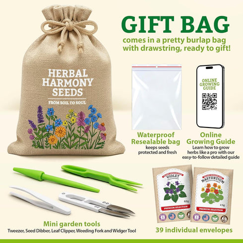 Pack 39 Medicinal Herb Seeds Variety Heirloom Non-GMO Apothecary Seed Kit, Herbal Medicine & Tea Garden, Made in USA