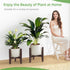 8-12 Inch LUE BONA HDPS Plant Stand Indoor Outdoor, Adjustable Mid Century Modern Stand for Plants Pots, Coffee Brown
