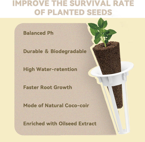 12 (350+ Shis0, Chic0ry) inbloom Culinary Herbs Seed Pod Kit for Hydroponics Growing System, Pods Seeds with Basil