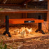 LQTTEK Heater,200 24 Chicken Brooder Watts Smart Chicken Coop Heater with Overheating Protection,Poultry Brooder